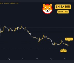 SHIB冲破100美元大关，牛市是否已来临？-安卓版