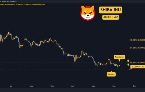SHIB冲破100美元大关，牛市是否已来临？-安卓版