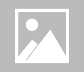 关于USDT空投即将开始，参与用户将获290枚代币的信息