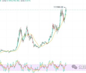 SHIB上扬势惊人，一夜飙升419%，加密市场沸腾的简单介绍