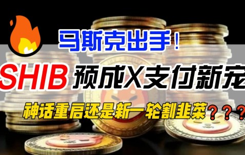 马斯克再次发推，SHIB瞬间上上扬320%的简单介绍