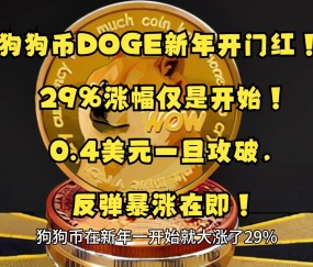 狗狗币突遭安全漏洞，流失高达380万美元的简单介绍