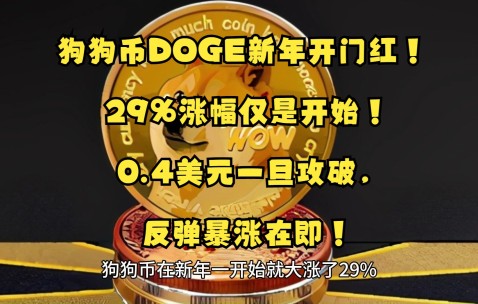 狗狗币突遭安全漏洞，流失高达380万美元的简单介绍