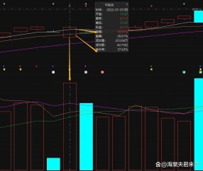 关于以太坊遭遇大幅下滑超329%，投资者恐慌性抛售的信息